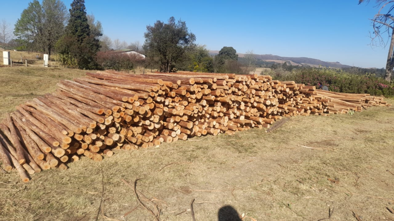 small scale timber harvesting