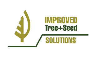 typo logo