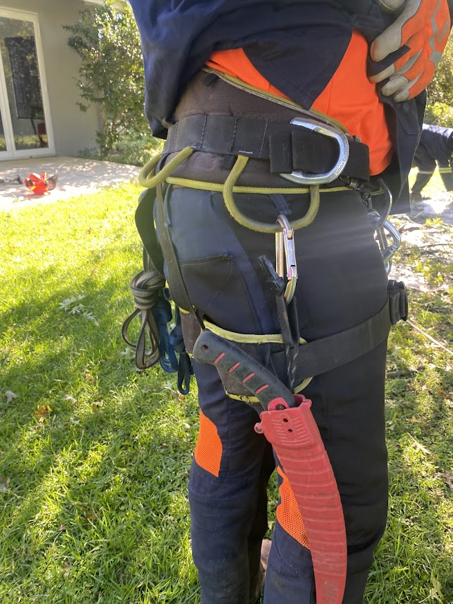 safety and reliability